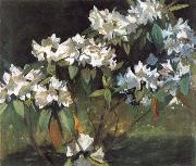 William Stott of Oldham White Rhododendrons oil painting reproduction